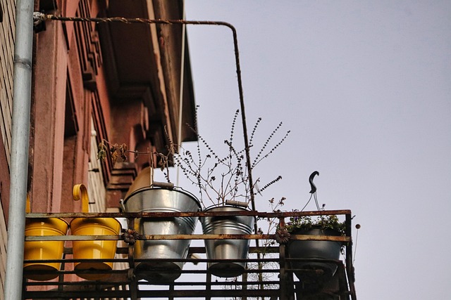 balcony, nature, plant, buckets, garden, pots