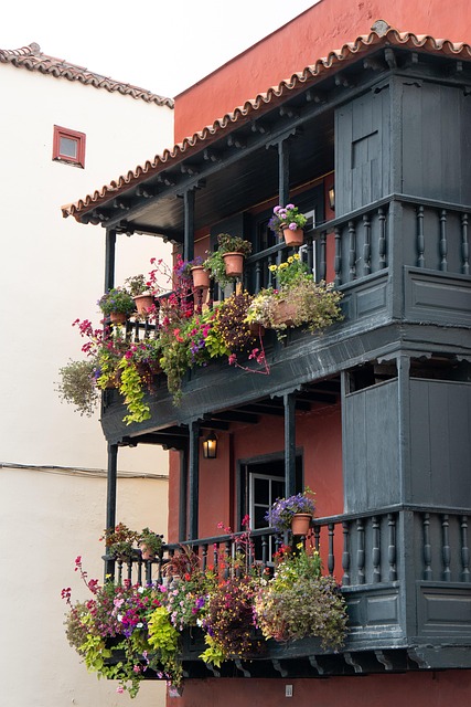 balcony, planting, architecture, balconies, facade, house facade, balcony, balcony, balcony, balcony, balcony, facade