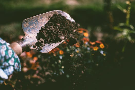 pexels-photo-1301856-1301856 Close-up of a gardening shovel with soil, surrounded by vibrant blooms in an outdoor garden setting.