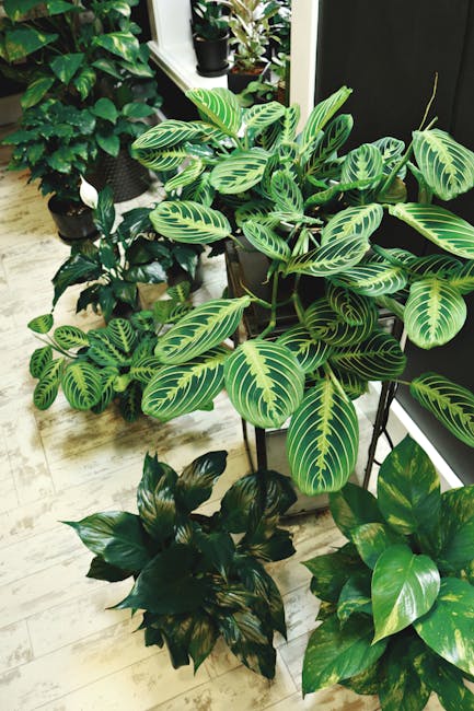 Lush and vibrant indoor plants in pots arranged neatly on a white tiled floor, creating a fresh ambiance.